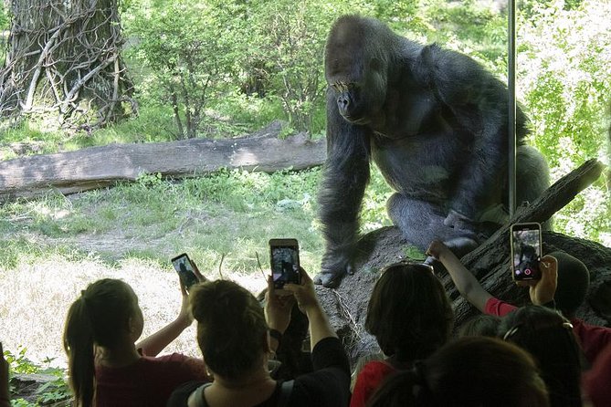 Bronx Zoo Admission Ticket - Dining, Restrooms, and Other Facilities