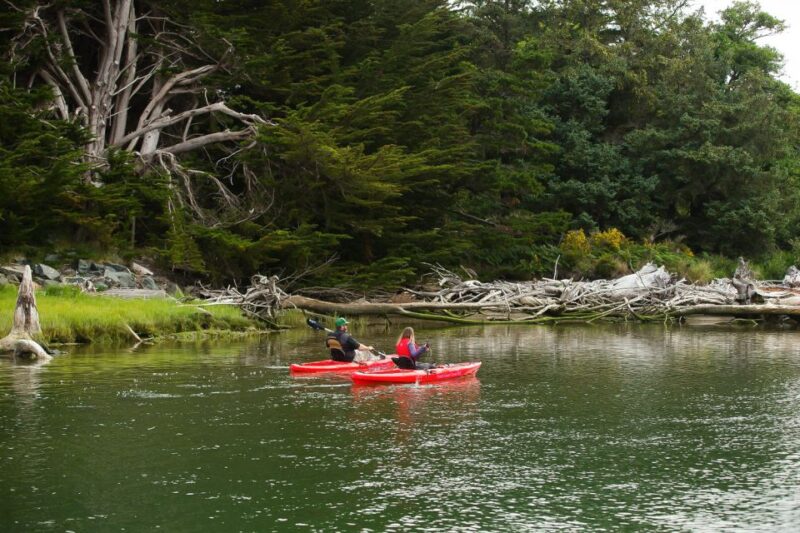 Brookings: Chetco River Kayak Tour - Flexibility with Booking and Cancellation Policies
