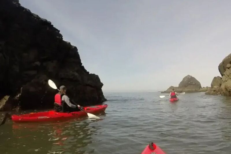 Brookings: Pacific Ocean Kayak Tour - The Role of the Guide in Enhancing the Experience