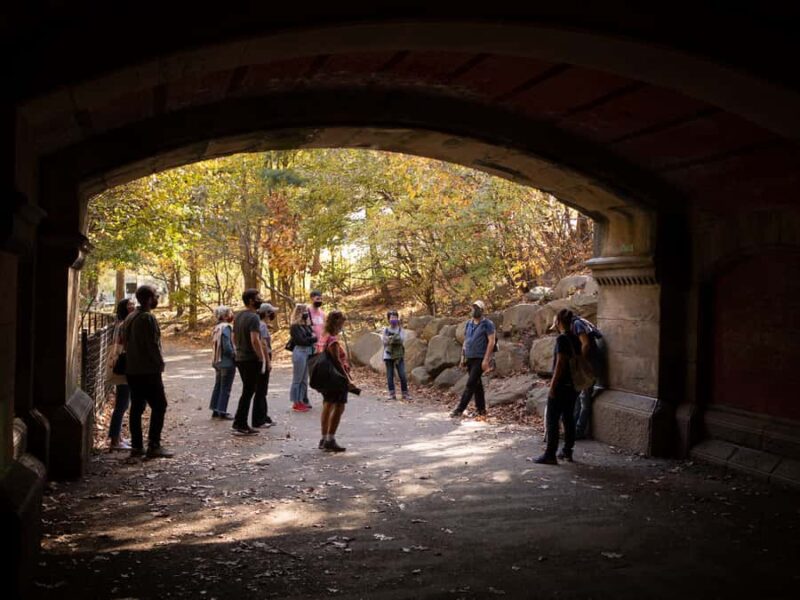 Brooklyn: 2-Hour Prospect Park Guided Walking Tour - Visits to the Long Meadow and the Ravine
