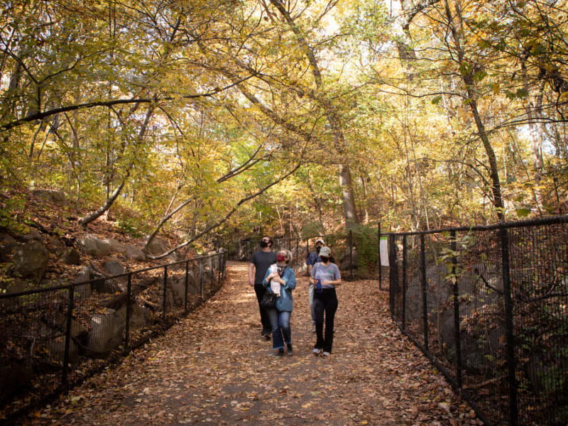 Brooklyn: 2-Hour Prospect Park Guided Walking Tour - Wildlife Encounters and Animal Stories