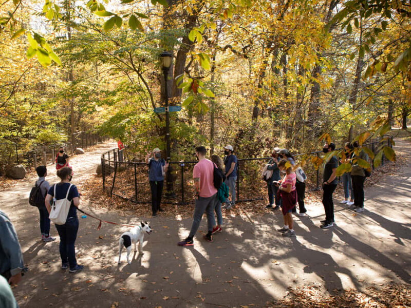 Brooklyn: 2-Hour Prospect Park Guided Walking Tour - Ongoing Conservation and Modern Projects
