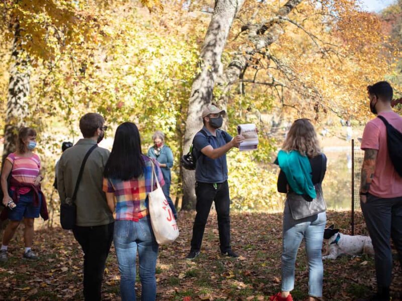 Brooklyn: 2-Hour Prospect Park Guided Walking Tour - Why Choose This Tour?