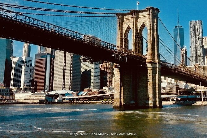 Brooklyn Bridge & DUMBO: Private New York Half-Day Walking Tour - Logistics and Practical Details