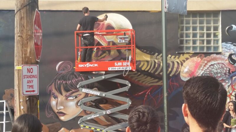 Brooklyn: Bushwick Street Art Walking Tour - What You’ll Learn About Mural Creation