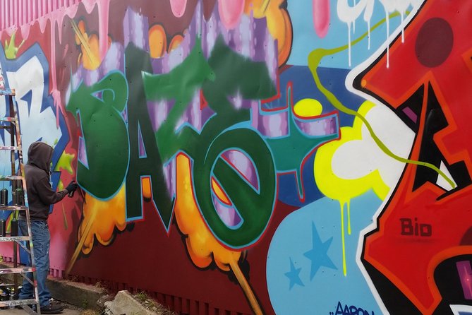 Brooklyn Street Art Tour - Highlights: Over 50 Murals and Artistic Stories