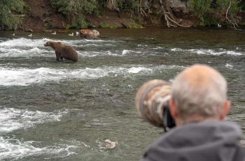 Brooks Falls: Katmai National Park Bear View by Floatplane - Exciting Floatplane Trip from Homer to Brooks Falls in Katmai National Park