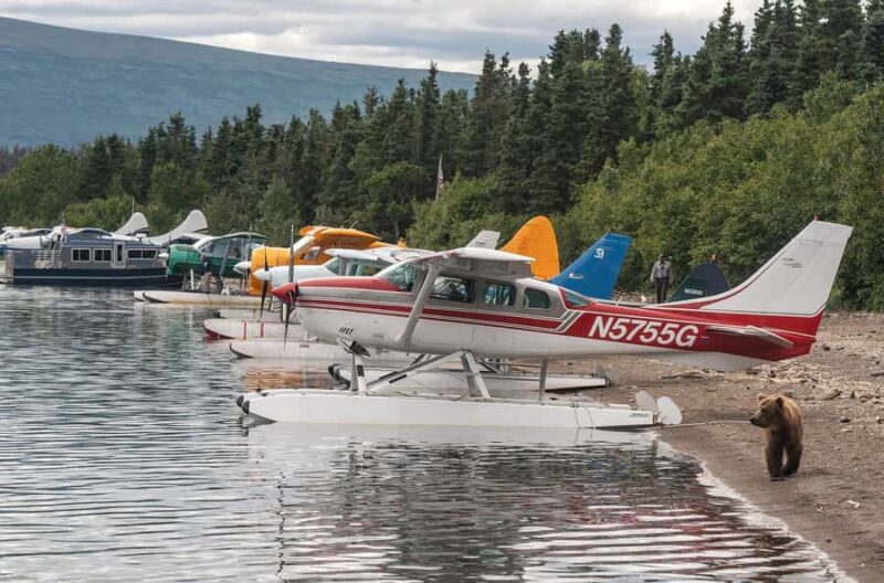 Brooks Falls: Katmai National Park Bear View by Floatplane - Arriving at Brooks Falls and the Safety Briefing