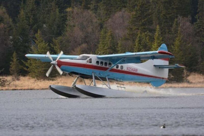 Brooks Falls: Katmai National Park Bear View by Floatplane - Exploring Brooks Falls and Bear Behavior