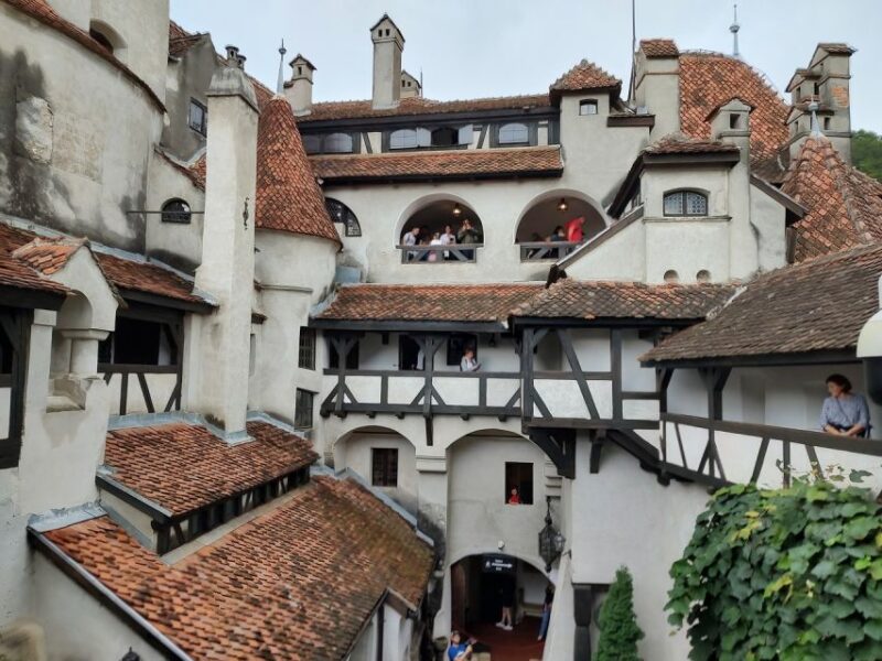 Brown Bear Sanctuary, Bran Castle & Rasnov Fortress Day Tour - Practical Details: Transportation, Guides, and Group Size