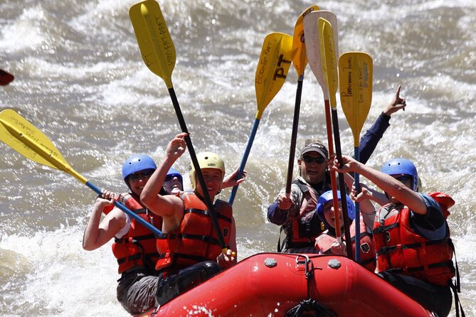 Brown's Canyon Full Day Rafting - What’s Included: Lunch and Professional Guidance