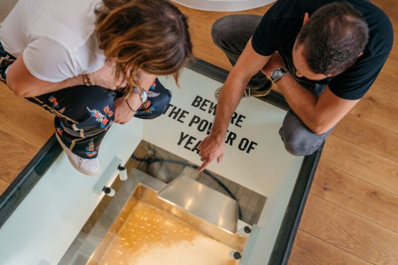 Bruges: Bourgogne des Flandres Brewery and Distillery Visit - Discovering the Brewing Ingredients and Process