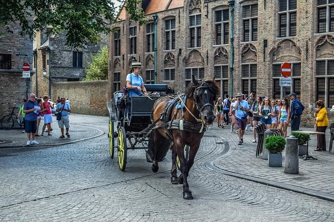 Bruges Full day private trip from Amsterdam - Cost and Inclusions