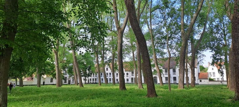 Bruges: private tour - highlights & hidden gems - The Historic Markets and Charming Squares