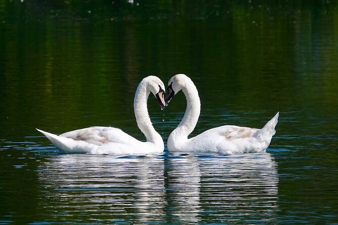 Bruges Walking Tour with Audioguide on Your Smartphone - Key Points