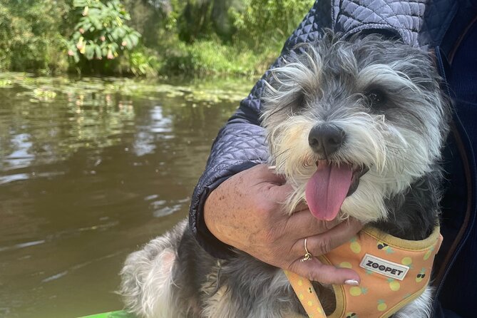Brunch at Xochimilco, México City. - Who Will Love This Tour?