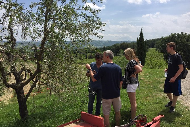 Brunello di Montalcino, small biodynamic wineries - Exploring the Wineries: Tricerchi and Piombaia