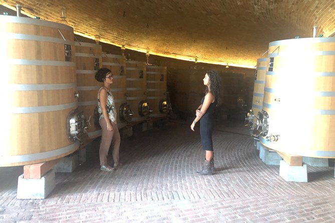 Brunello di Montalcino Wine Tour of 2 Wineries with Pairing Lunch - Visiting a Historic Brunello Winery in Montalcino