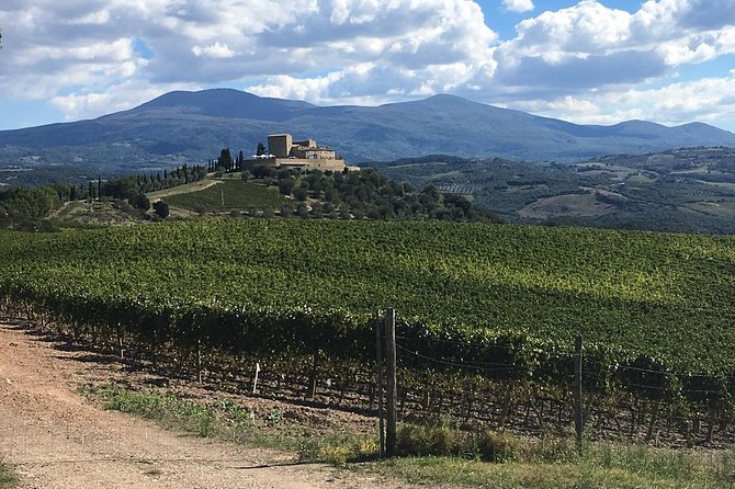 Brunello E-Bike Tour - Riding Electric Bikes through Tuscan Hills and Vineyards