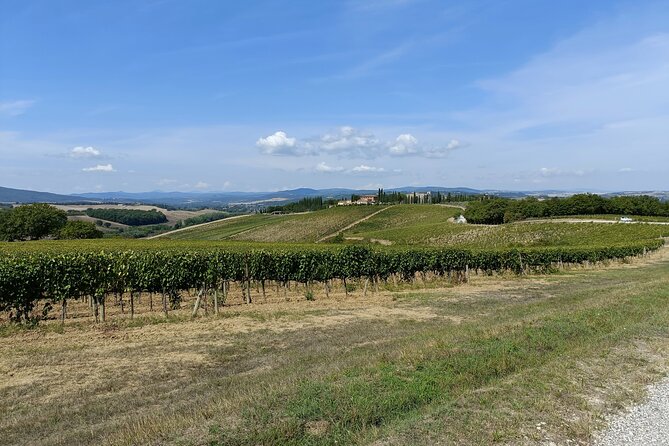 Brunello E-Bike Tour - Indulging in a Wine Tasting at the Montalcino Vineyard
