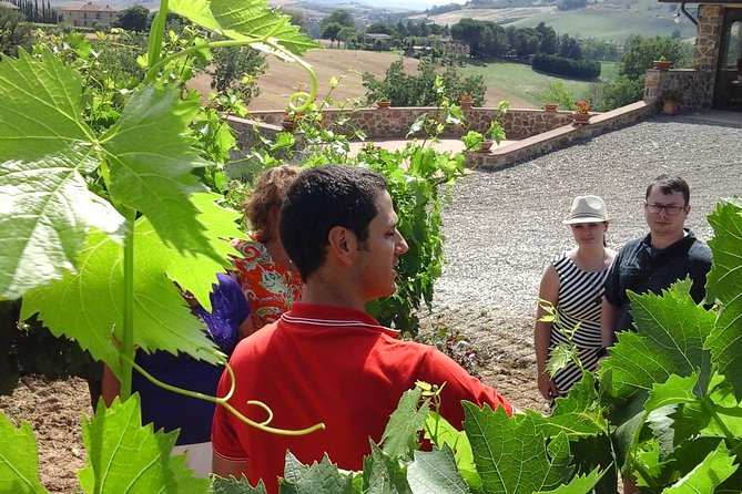 Brunello Vineyards Bus Tour - Unique Wineries and Their Stories