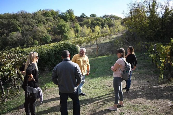 Brunello Vineyards Bus Tour - Practical Details and Booking Insights