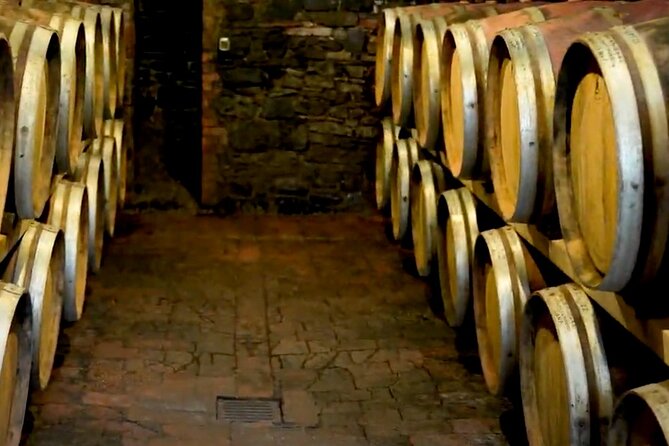 Brunello Wine Tasting from San Gimignano - Tasting at Prestigious Wineries