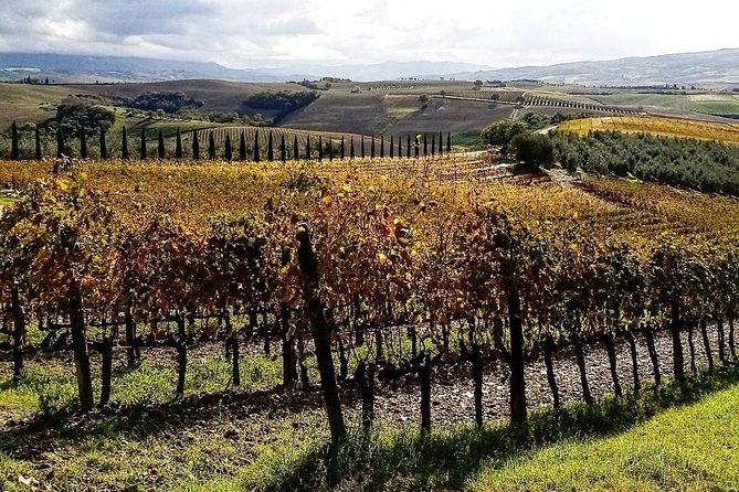 Brunello Wine Tour and Val D'Orcia Landscape - The Sum Up: An Authentic Taste of Tuscany’s Wine and Landscape