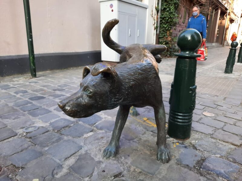 Brussels: a stroll to discover hidden gems - Coudenberg Palace: Ruins and Royal Secrets