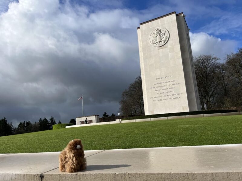 Brussels: Battle of the Bulge Day Tour with Private Guide - Key Points