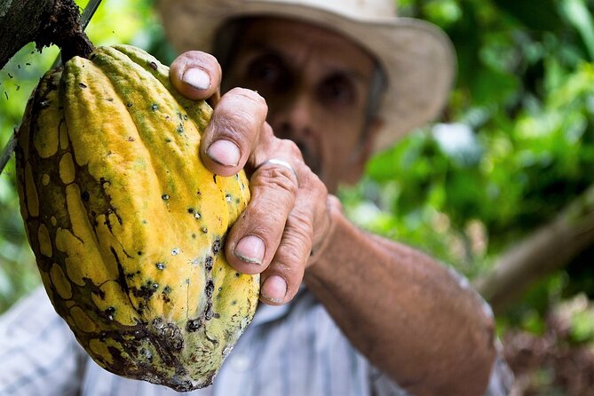 Brussels Chocolate Walking Tour and Workshop - Final Thoughts on the Brussels Chocolate Walking Tour and Workshop
