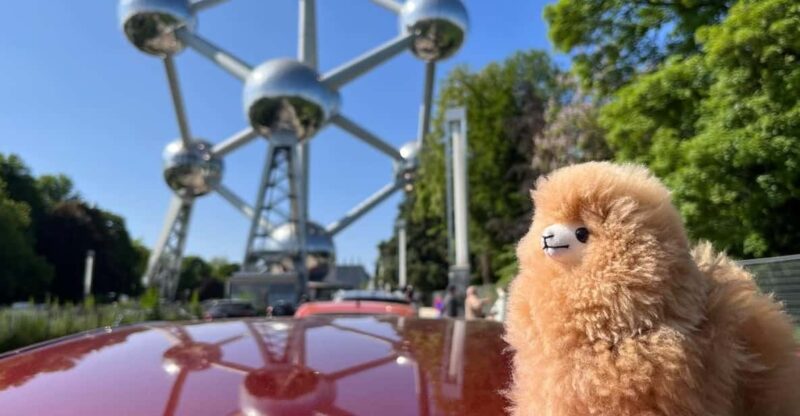 Brussels Day Trip from Paris or Amsterdam by Mini-Van - Key Points