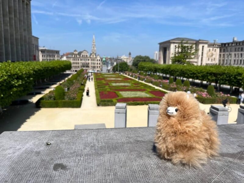 Brussels Day Trip from Paris or Amsterdam by Mini-Van - Visiting the Atomium and EU District by Car