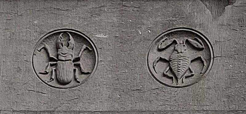 Brussels: Fall and Rise of Art-Nouveau Guided Tour - Practical Details and Accessibility