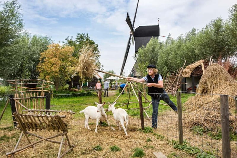 Brussels: Full Day Holland Keukenhof & Windmills Guided Tour - Visiting the Netherlands in a Day with Confidence