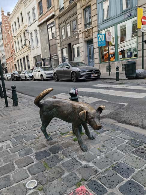 Brussels Gems: Private City Tour with Local Guide - The Architectural Wonder of Atomium (Optional)