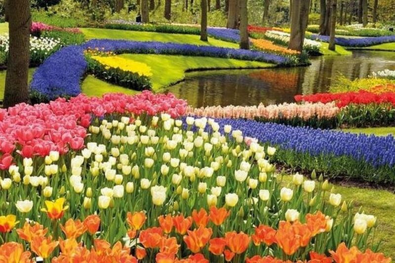 Brussels: Keukenhof, Tulips, and Delft Day Trip - Return to Brussels with Lasting Memories of Dutch Beauty