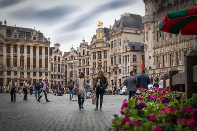 Brussels: Private Walking Tour - Exploring Brussels’ Political and Cultural Significance