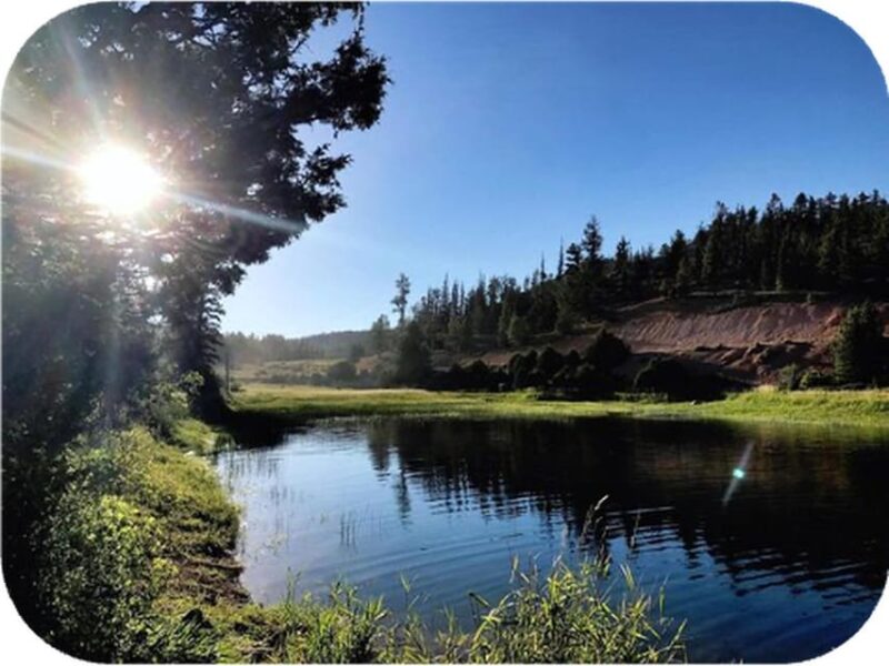 Bryce Canyon: 2-Hour, 4-Seat or 5-Seat ATV Rental - Wildlife and Tree Sightings Along the Trails