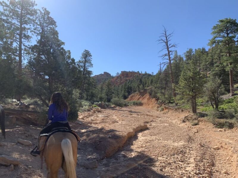 Bryce Canyon City: Horseback Riding Tour in Red Canyon - The Value of This Horseback Ride Experience