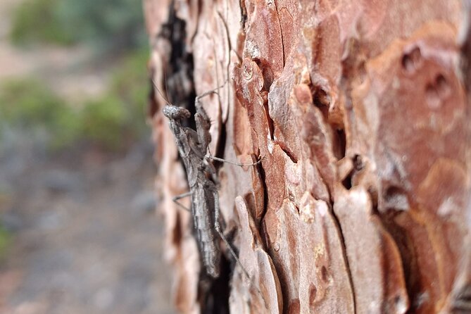 Bryce Canyon E-bike Tour - What It’s Like to Ride an E-Bike in Bryce Canyon