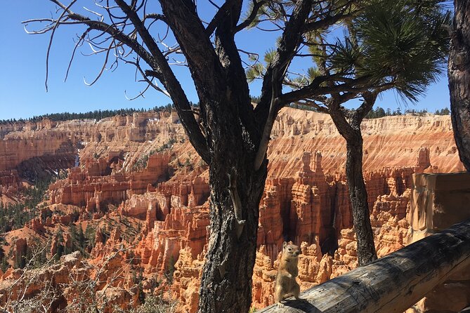 Bryce Canyon E-bike Tour - Practical Details: Meeting Point, Group Size, and Weather Policies