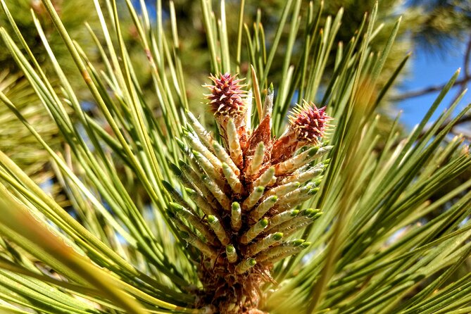 Bryce Canyon E-bike Tour - The Value of the Bryce Canyon E-bike Tour