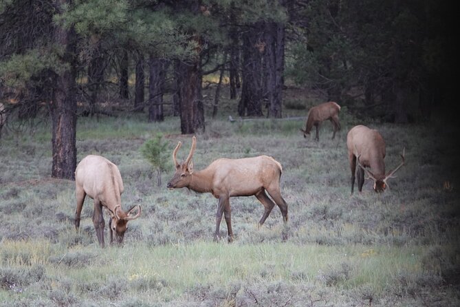 Bryce Canyon E-bike Tour - Who Will Enjoy This Tour Most?