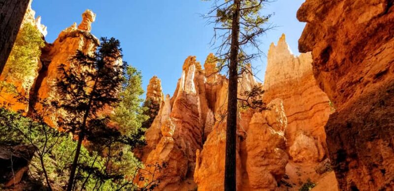 Bryce Canyon Hiking Challenge - The Expert Guides and Their Local Knowledge