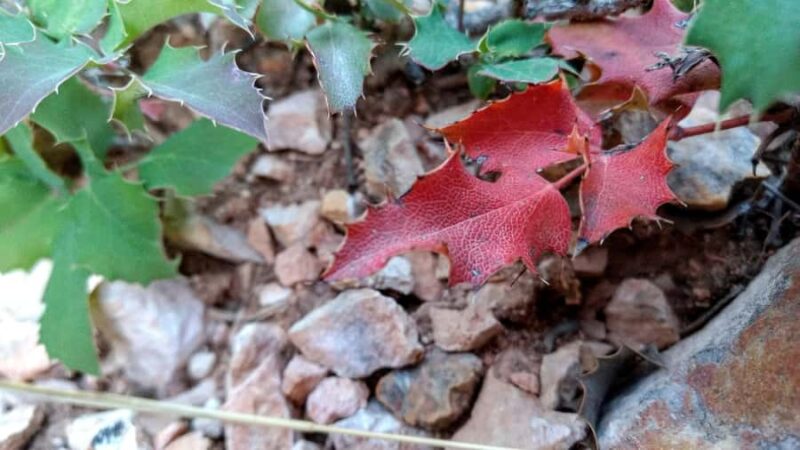 Bryce Canyon Hiking Challenge - Notable Stops and Hidden Gems Along the Trail