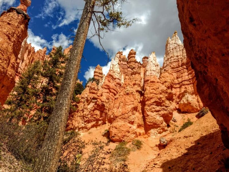 Bryce Canyon Hiking Challenge - Bryce Canyon Hiking Challenge: An Honest Summary