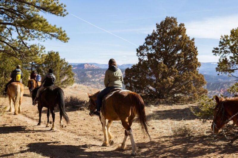 Bryce Canyon: Horseback Ride in the Dixie National Forest - What You Can Expect During the 1.5-Hour Ride