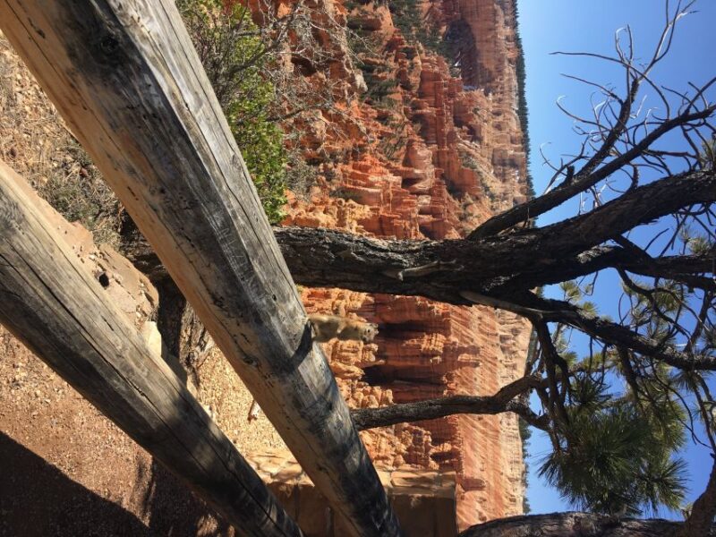 Bryce Canyon National Park: Guided E-Bike Tour - Family-Friendliness and Accessibility