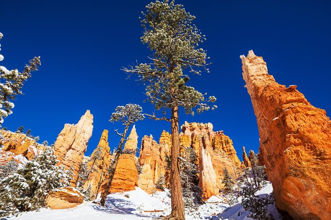 Bryce Canyon National Park Self-Guided Driving Audio Tour - Tour Content and Narration Style